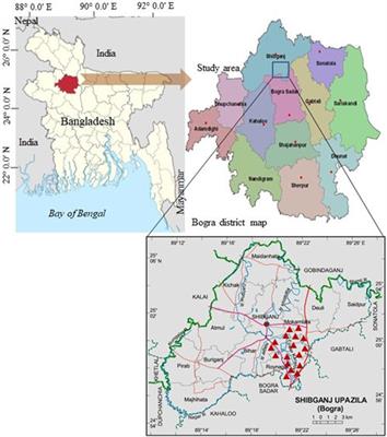 Assessment of trace elements in the long-term banana cultivation field’s soil